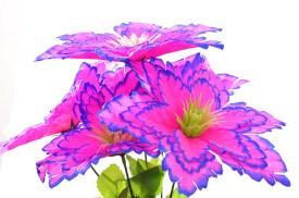 Ramo 5 flores estrella federal bicolor (2).jpg